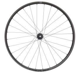 NEWMEN Phase 30 light XC 29" 12 x 148mm 6-Loch Sram XD Laufrad hinten