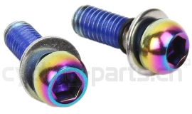 Sram Titanium Befestigungsschrauben M6x17mm Bremssattel Rainbow Oil Slick