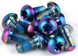 Sram Titanium Befestigungsschrauben Bremsscheibe Rainbow Oil Slick