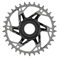 Sram XX Eagle AXS Transmission E-MTB Bosch Gen5 DU38 36 Zähne 1x12 black/silver Kettenblatt