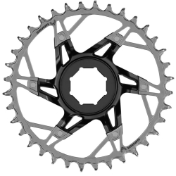 Sram XX Eagle T-Type Brose Direct Mount E-MTB 36 Zähne 1x12 black Kettenblatt