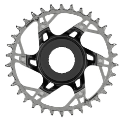 Sram XX Eagle T-Type Shimano Steps Direct Mount E-MTB 36 Zähne 1x12 black Kettenblatt
