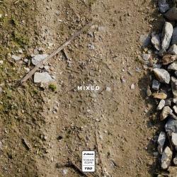 Vittoria Terreno T50 Mixed Gravel Pro TLR E-25 natural brown 700x35 Reifen