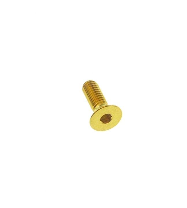 Better Bolts Titan Fox Geared Cam Retaining Bolt Schraube gold