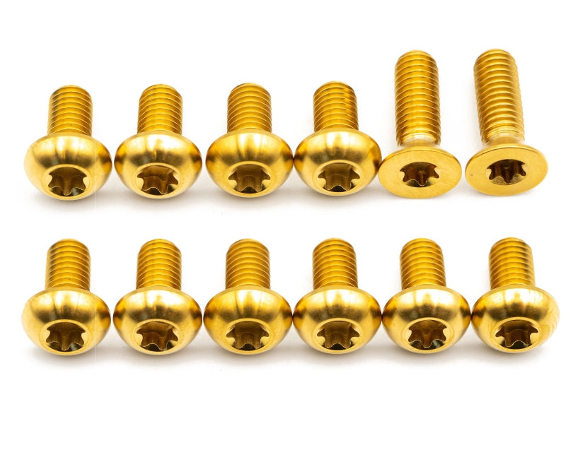 Better Bolts Bremsscheiben/Specialized Speed Sensor Befestigungsschrauben Kit Titan gold