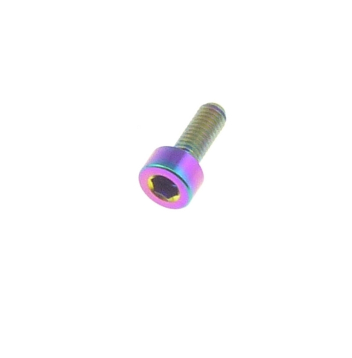 Better Bolts Titan Fox Federgabel Befestigung Bremsleitung Schraube M3x8 rainbow oil slick