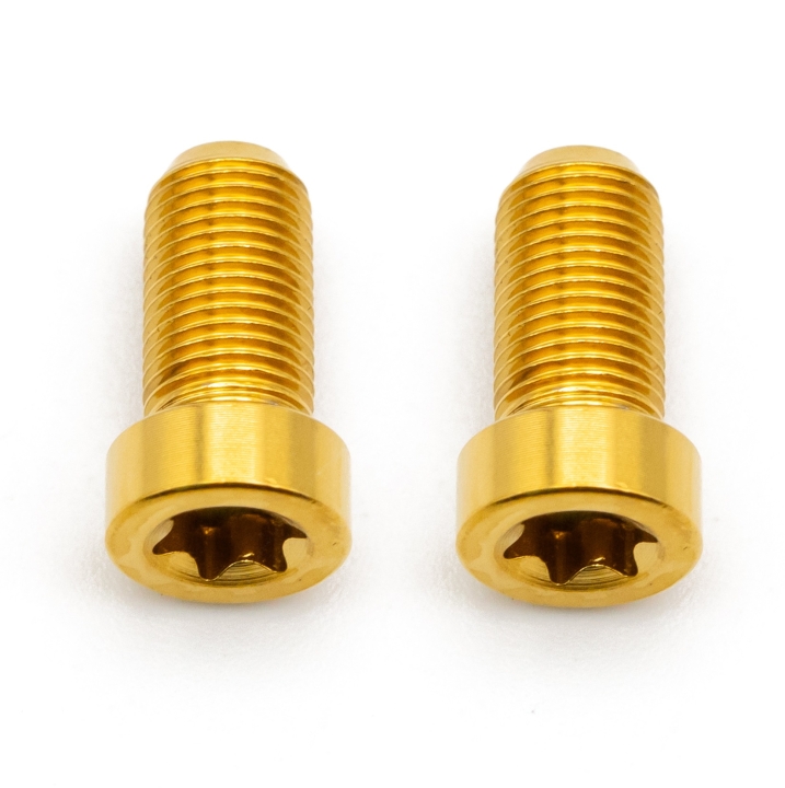 Better Bolts Sram AXS Discrete Schrauben Set Titan gold