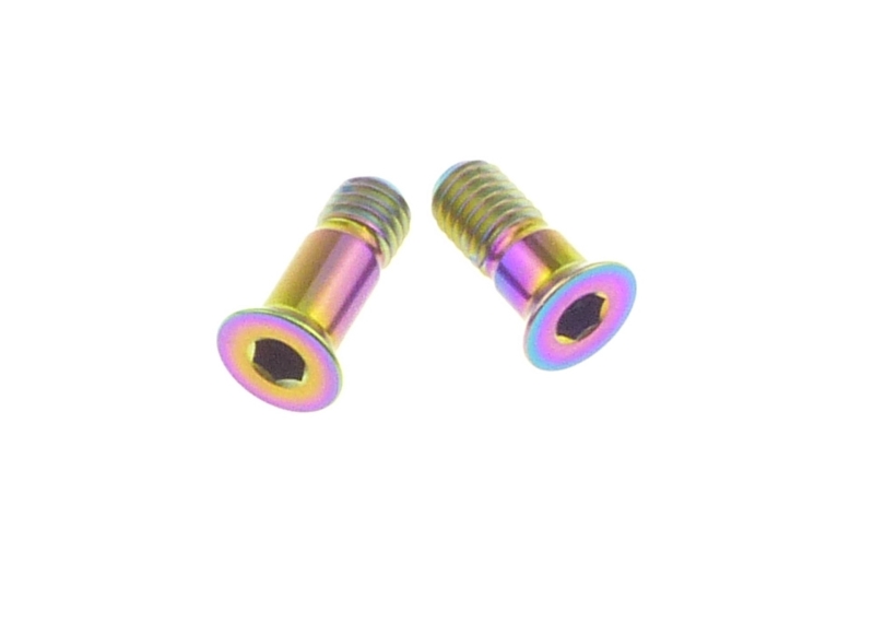 Better Bolts Titan Sram XX1/X01/GX/NX, X01 AXS/GX AXS Eagle Schaltwerkrädchen - Schrauben - Set rainbow oil slick