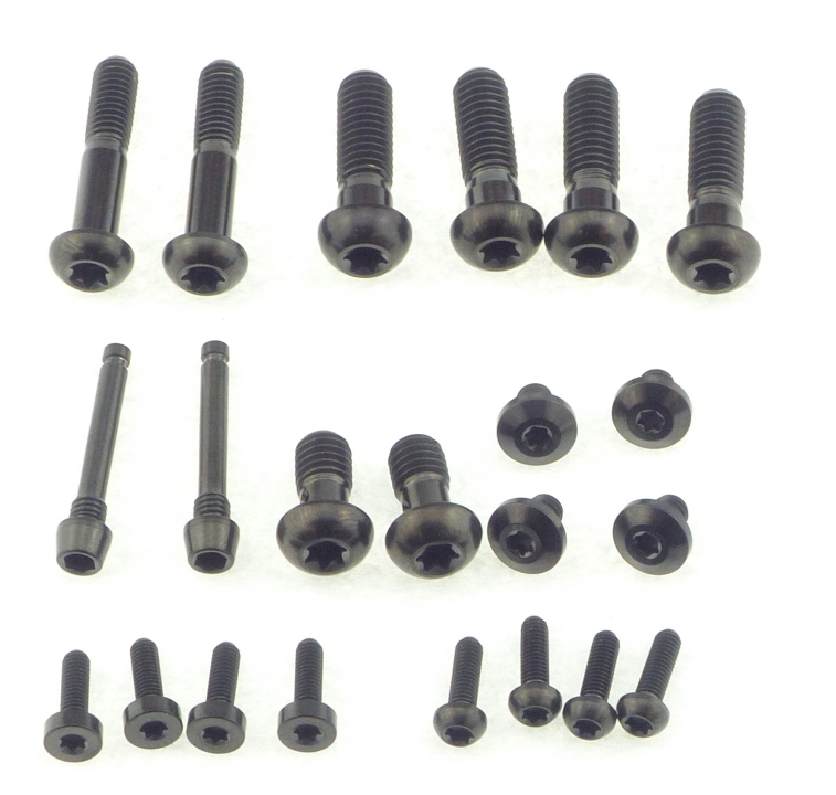 Better Bolts Sram Motive Ultimate/Silver Disc Brake Schrauben Kit Titan black