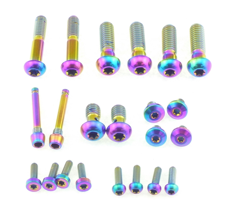 Better Bolts Sram Motive Ultimate/Silver Disc Brake Schrauben Kit Titan rainbow