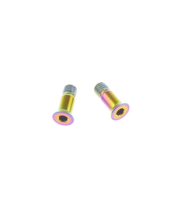 Better Bolts Titan Sram Eagle Transmission GX/X0/XX Schaltwerkrädchen - Schrauben - Set rainbow oil slick