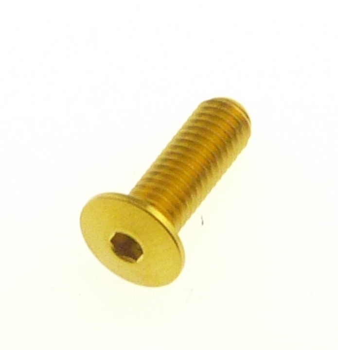 Better Bolts Titan Flaschenhalterschraube Low Profile M5x15 gold