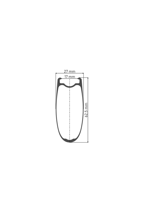 DT Swiss ARC 1100 DICUT® 62 Laufrad hinten