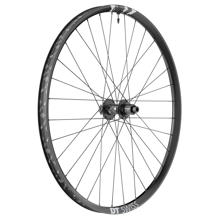 DT Swiss FR 1900 Classic 29" 12 x 148mm Shimano Micro Spline Laufrad hinten