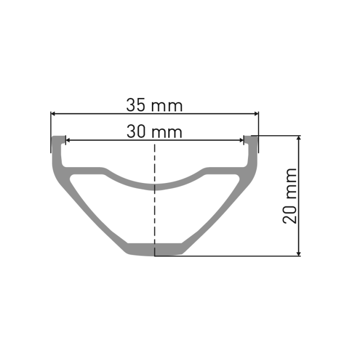 DT Swiss FR 1900 Classic 29" 12 x 148mm Shimano Micro Spline Laufrad hinten