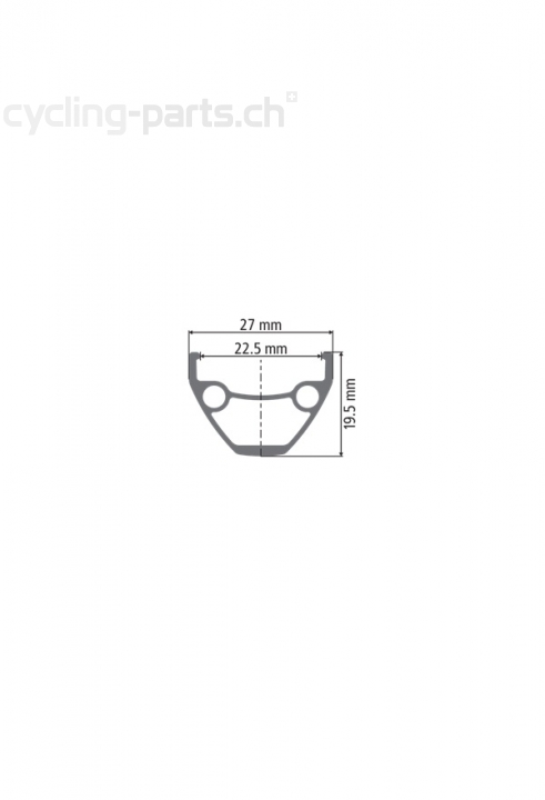 DT Swiss M 1900 Spline® 29/22.5mm Boost 15 x 110mm Laufrad vorne