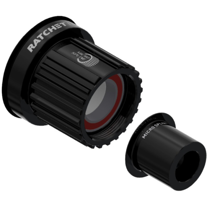 DT Swiss Ratchet LN Shimano Micro Spline 12fach Freilauf 12x148