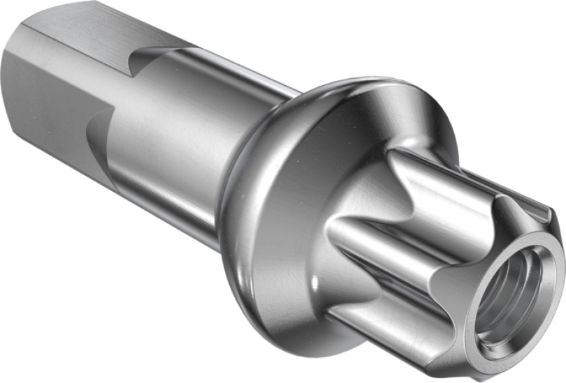 DT Swiss Squorx Pro Head Pro Lock Messing Nippel 2.0/15mm silber