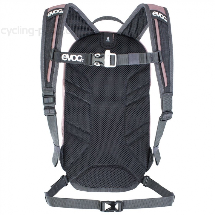Evoc Joyride 4l Junior Rucksack dusty pink/carbon grey