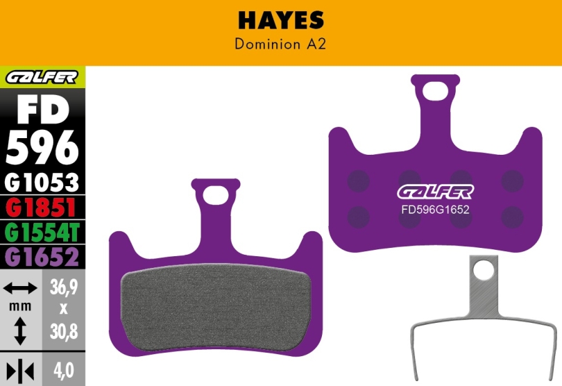 Galfer E-Bike FD596 Hayes Dominion A2 Bremsbeläge