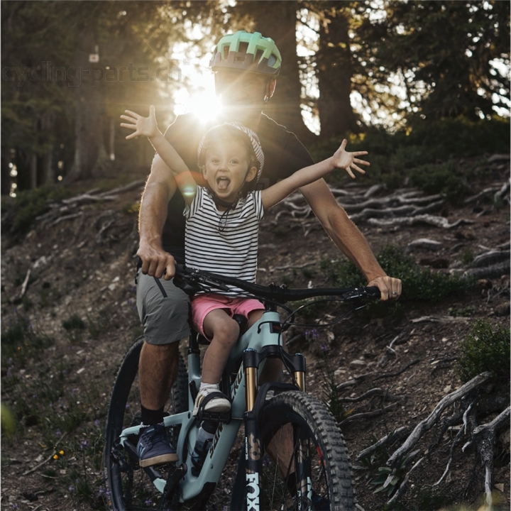 Kids Ride Shotgun MTB-Kindersitz