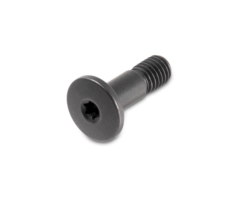 Lupine GoPro Schraube