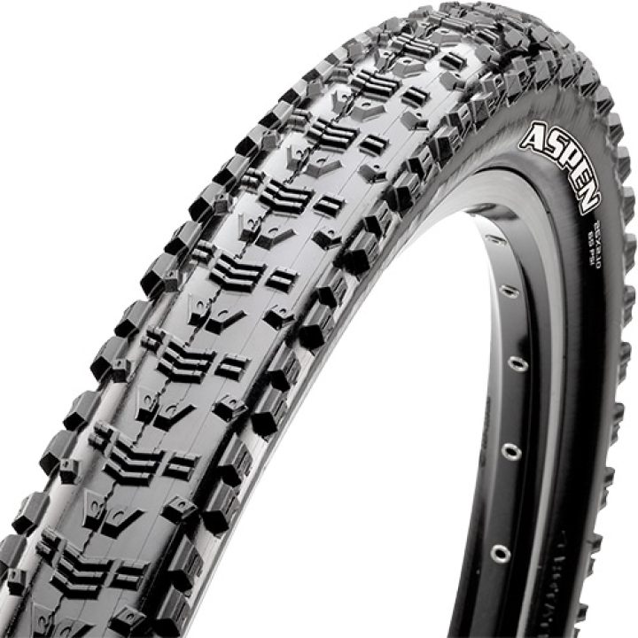 Maxxis Aspen TR, EXO, 120 TPI 29x2.1 Reifen