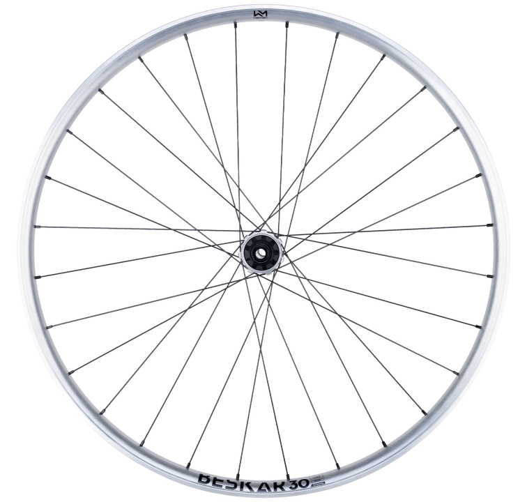 NEWMEN Beskar 30 Strong Enduro/DH 29" 12 x 148mm 6-Loch Sram XD silver LTD Laufrad hinten