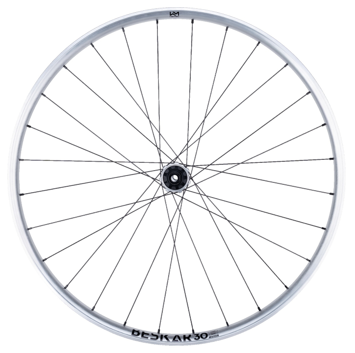 NEWMEN Beskar 30 Strong Enduro/DH 29" 12 x 148mm 6-Loch Shimano Micro Spline silver LTD Laufrad hinten