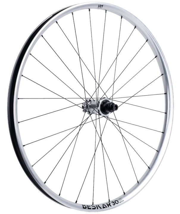 NEWMEN Beskar 30 Strong Enduro/DH 29" 12 x 148mm 6-Loch Shimano Micro Spline silver LTD Laufrad hinten