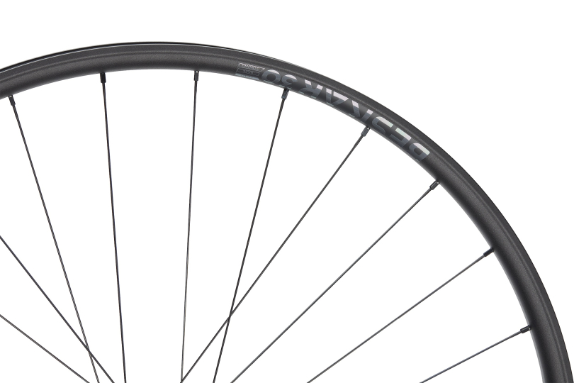 NEWMEN Beskar 30 Light XC 29" 12 x 148mm 6-Loch Shimano Micro Spline Laufrad hinten