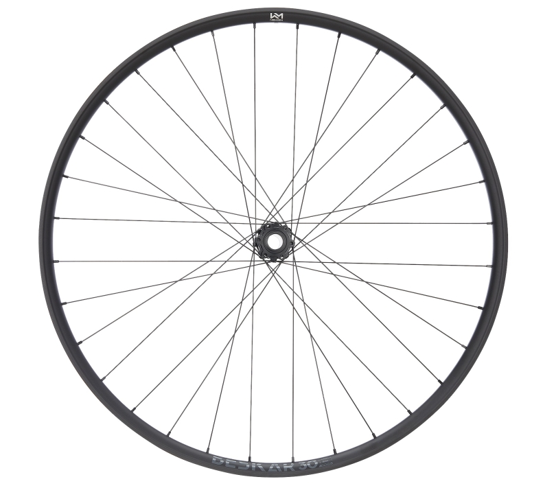 NEWMEN Beskar 30 Strong DH 29" 15/20 x 110mm 6-Loch Laufrad vorne