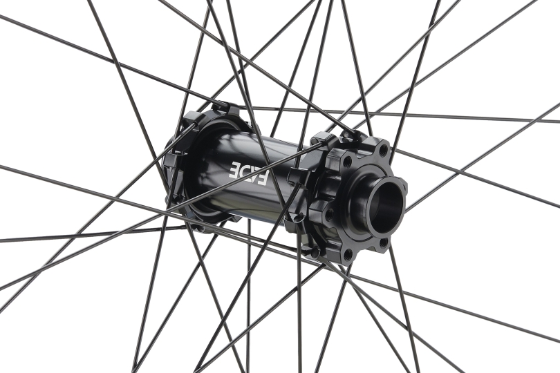 NEWMEN Beskar 30 Strong DH 29" 15/20 x 110mm 6-Loch Laufrad vorne