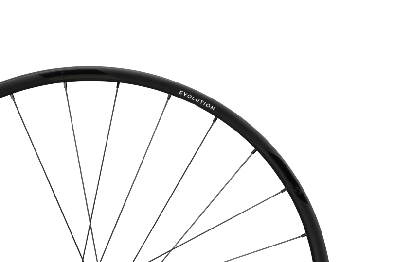 NEWMEN Evolution SL X.R.25 Gravel 12 x 142mm Centerlock Sram XDR 12 fach Laufrad hinten