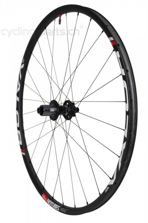 Notubes ZTR Valor Pro Lefty/12x142mm 29er Carbon Laufradsatz