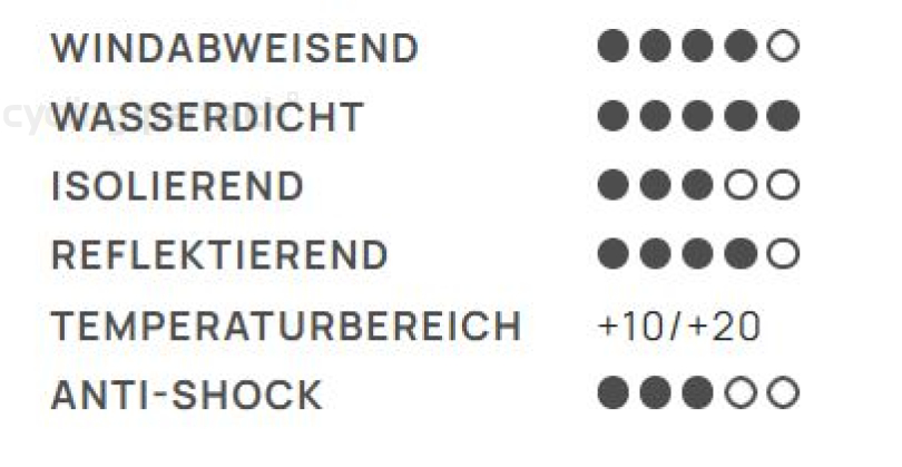 Santini Adapt Herren kurze Trägerhosen schwarz