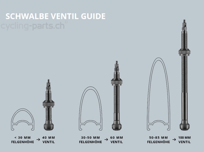 Schwalbe Tubeless Ventile 40mm