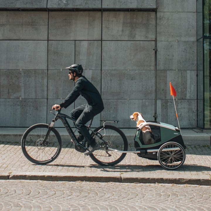 Thule Bexey Dog hazy green Grösse L Anhänger