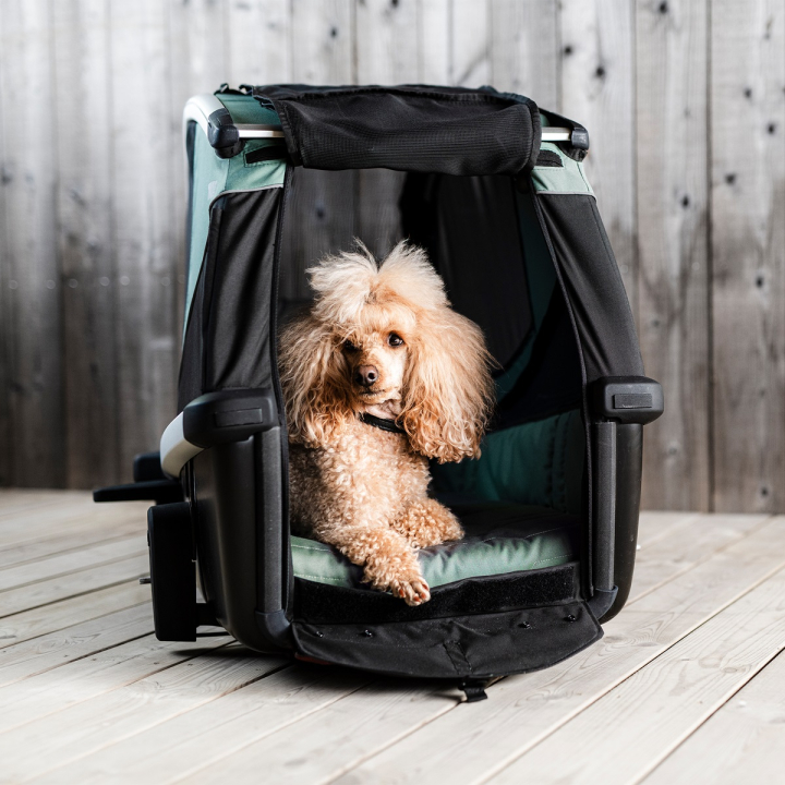 Thule Bexey Dog hazy green Grösse L Anhänger