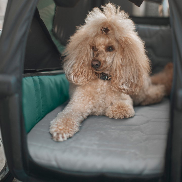 Thule Bexey Dog Bed Grösse L