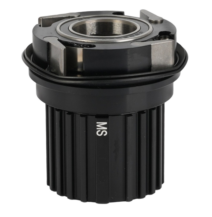 Zipp ZM2SL/ZR1 Shimano Microspline 12-fach Freilauf